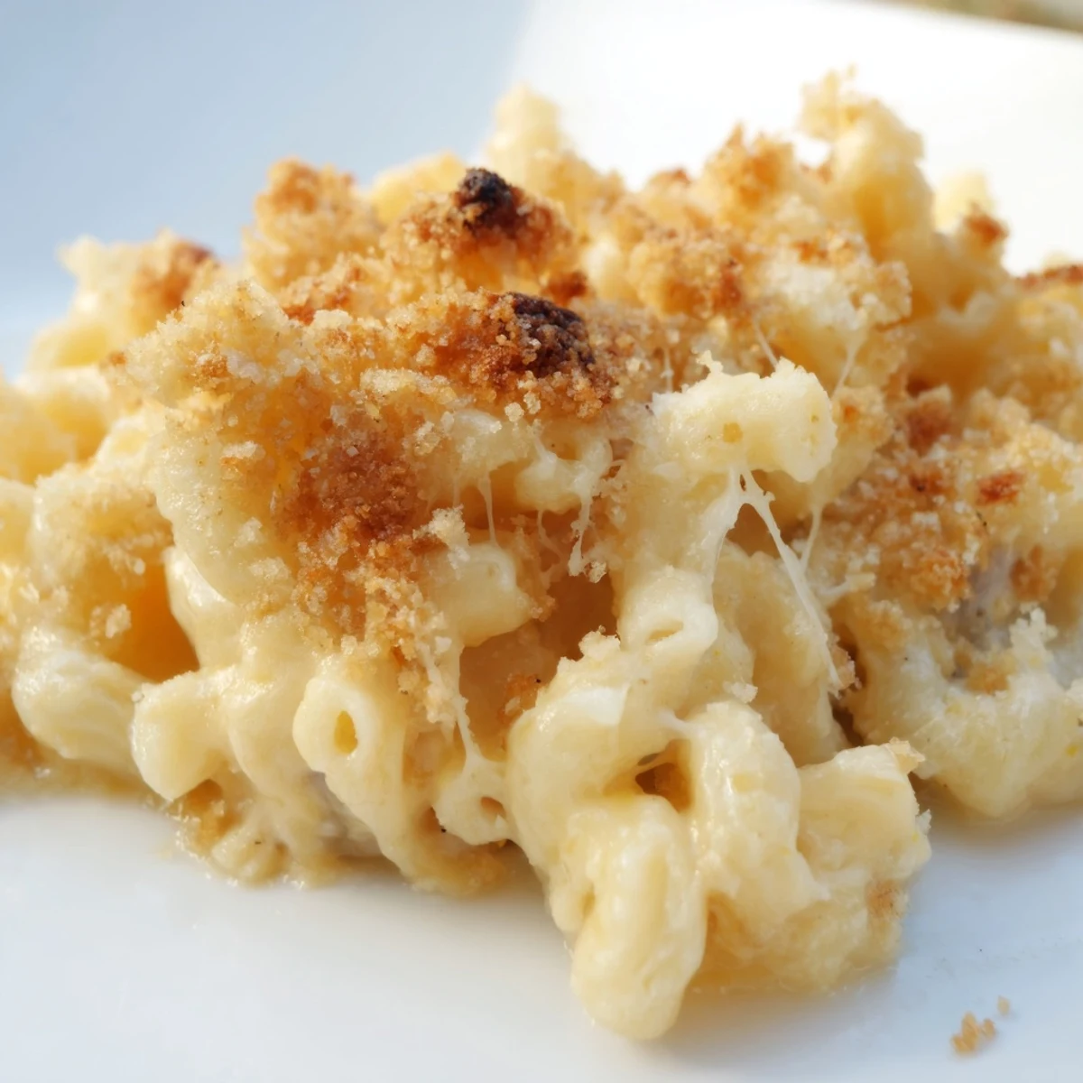 Bubbling hot macaroni and cheese features a crispy parmesan breadcrumb crust and steam rising.